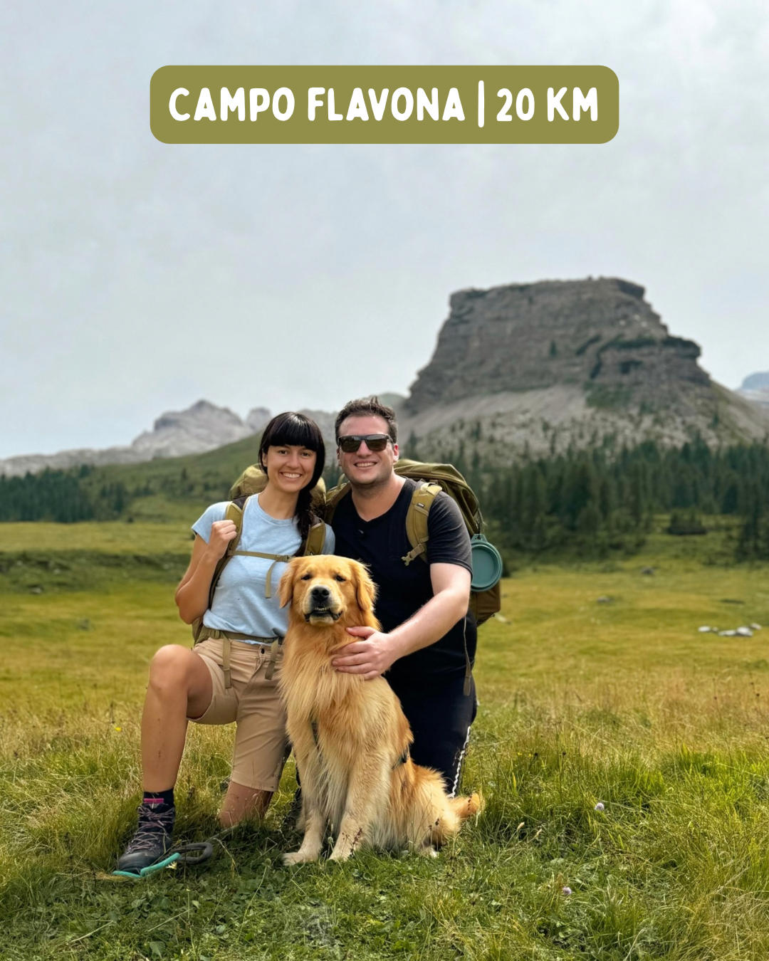 Campo Flavona