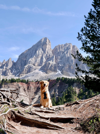 Dogomiti img 01