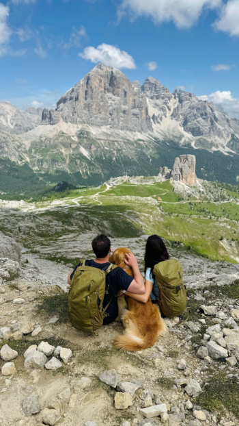 Immagine dogomiti 8
