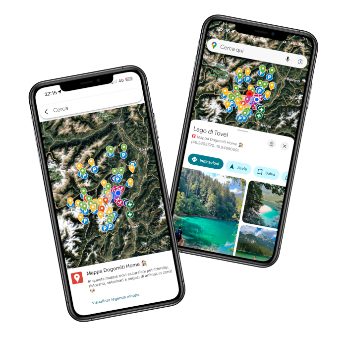 Integrazione Google Maps