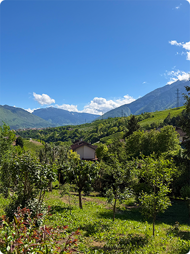 Dogomiti Home interni