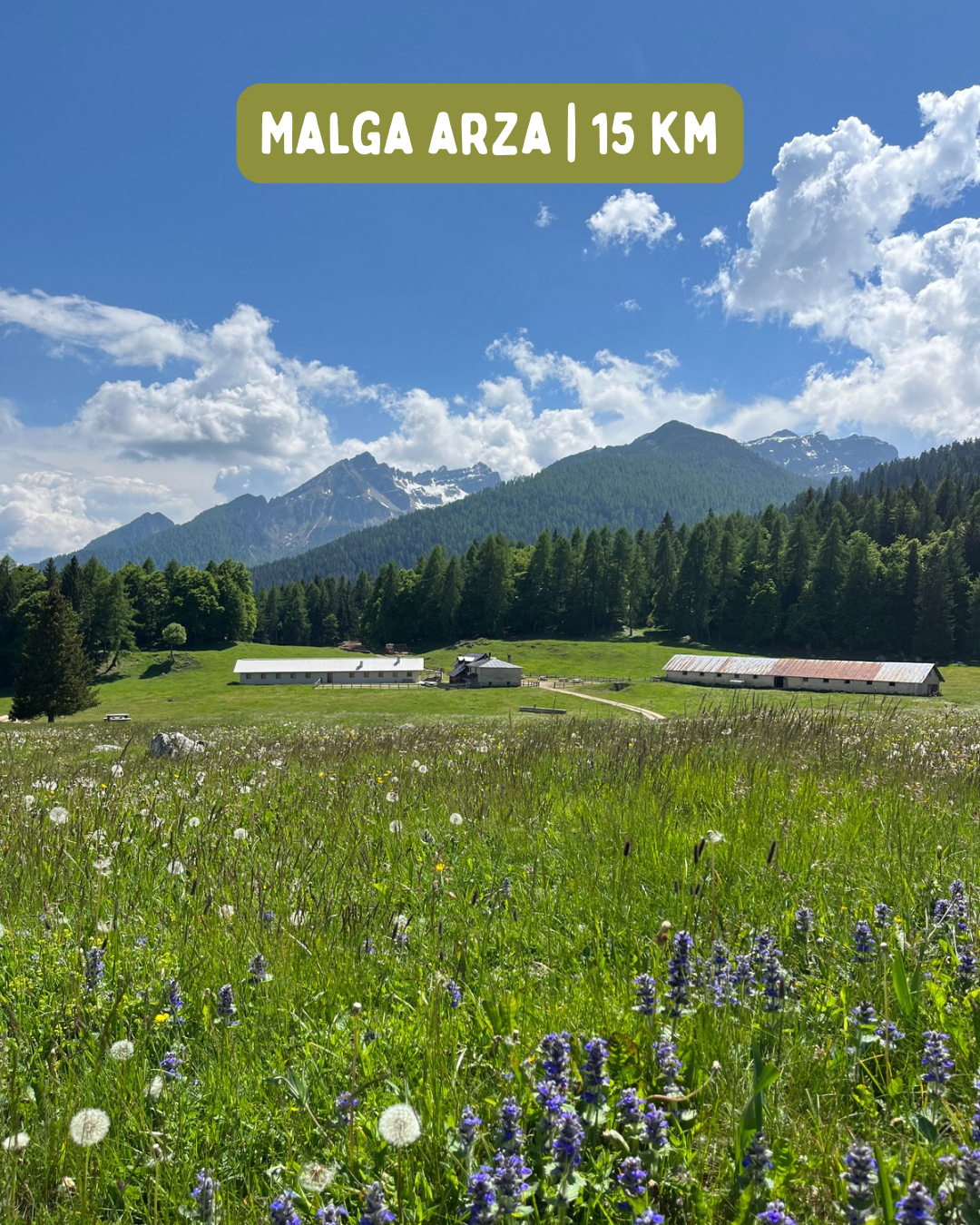 Malga Arza