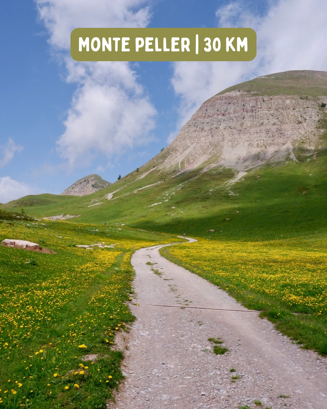 Monte Peller